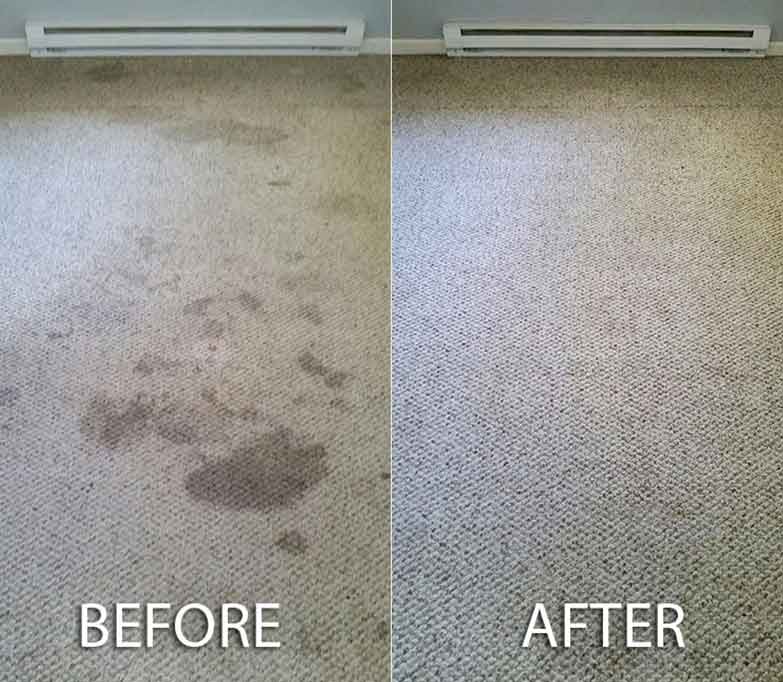 cleaning service in melbourne